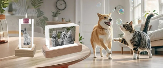 K9 Crystal Glass: The Premier Choice for Laser-Engraved Gifts