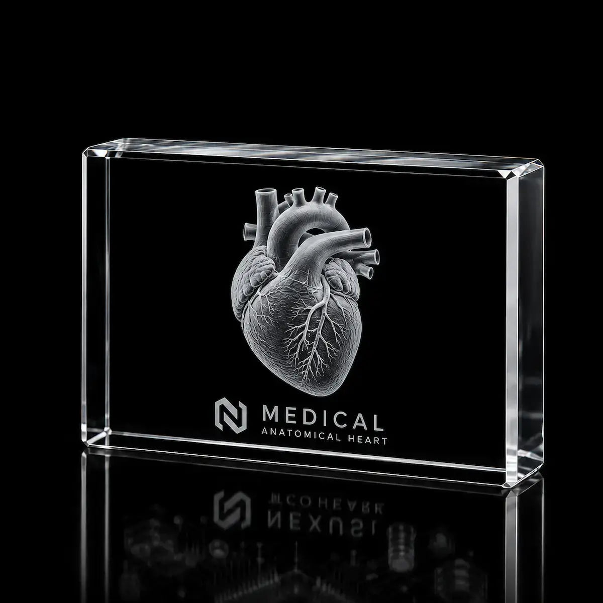 3D-model-in-crystal-for-Biology-Models