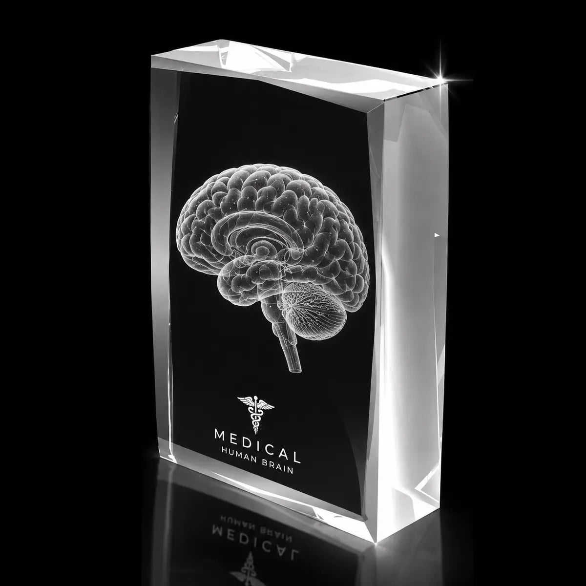 3D human brain laser engraved inside a clear faceted portrait crystal award, custom medical trophy with 360-degree display.