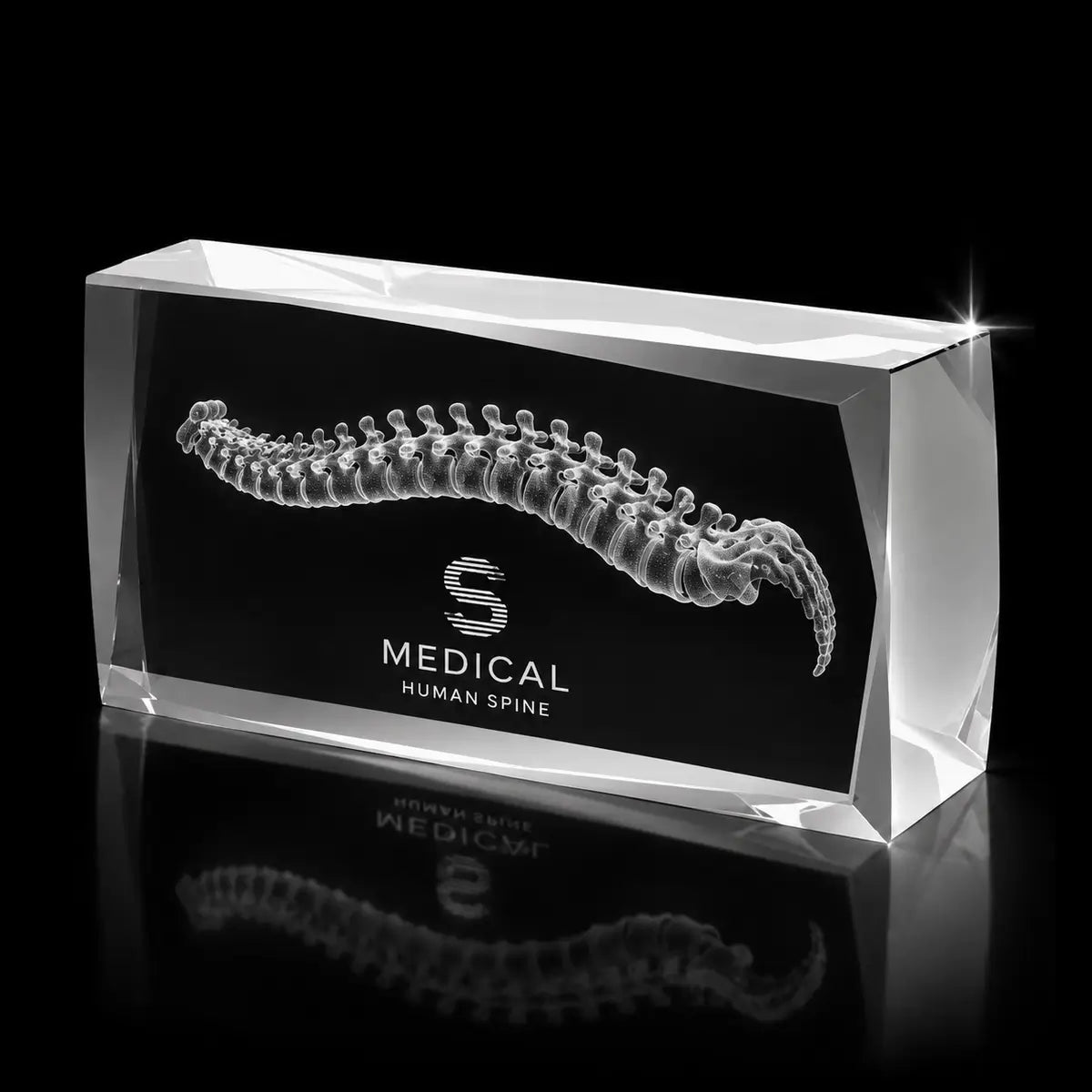 3D human spine laser engraved inside a clear faceted landscape crystal award, custom medical trophy with 360-degree display.