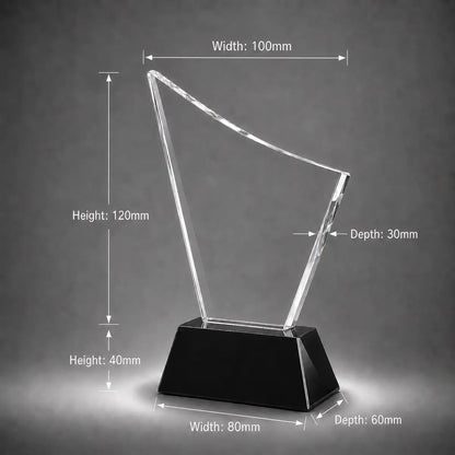 Custom 3D crystal award and trophy with elegant black base, designed for corporate events, recognition gifts and presentation displays.