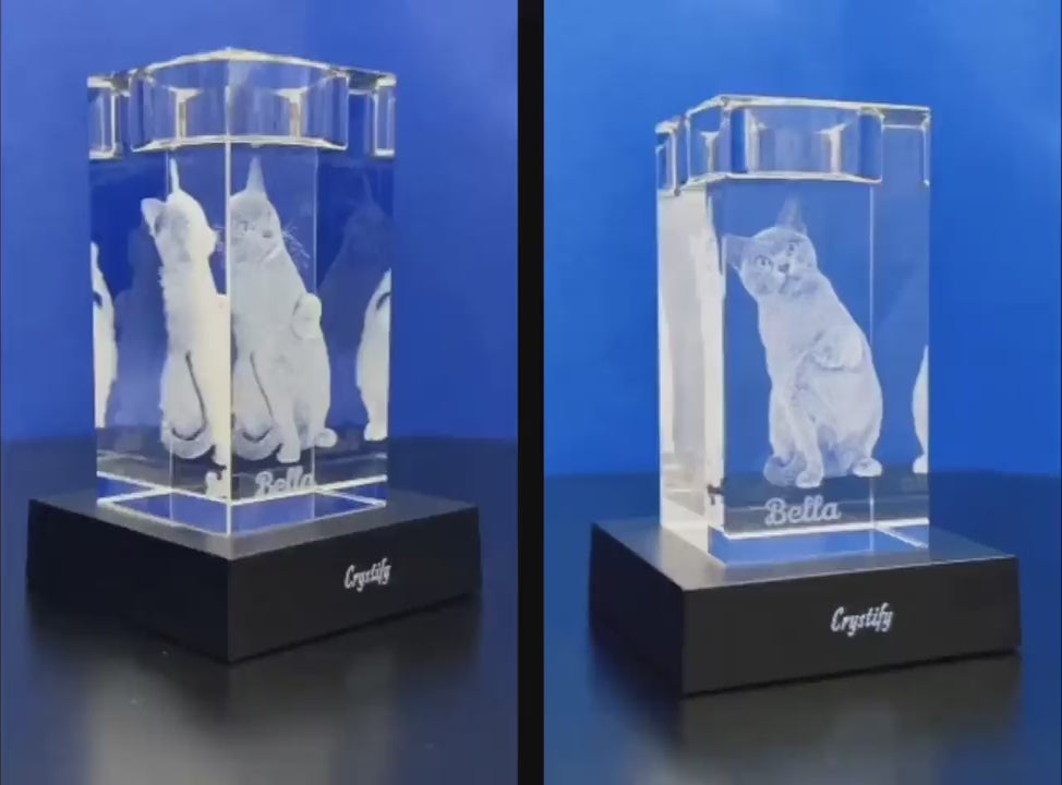 Side-by-side comparison of 3D crystal and 2D crystal photo engraving, showing the same cat image engraved inside a crystal candle holder.